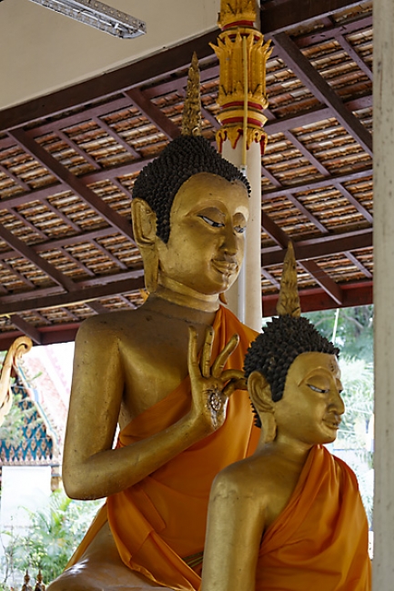 Talin chan-NOV13-124